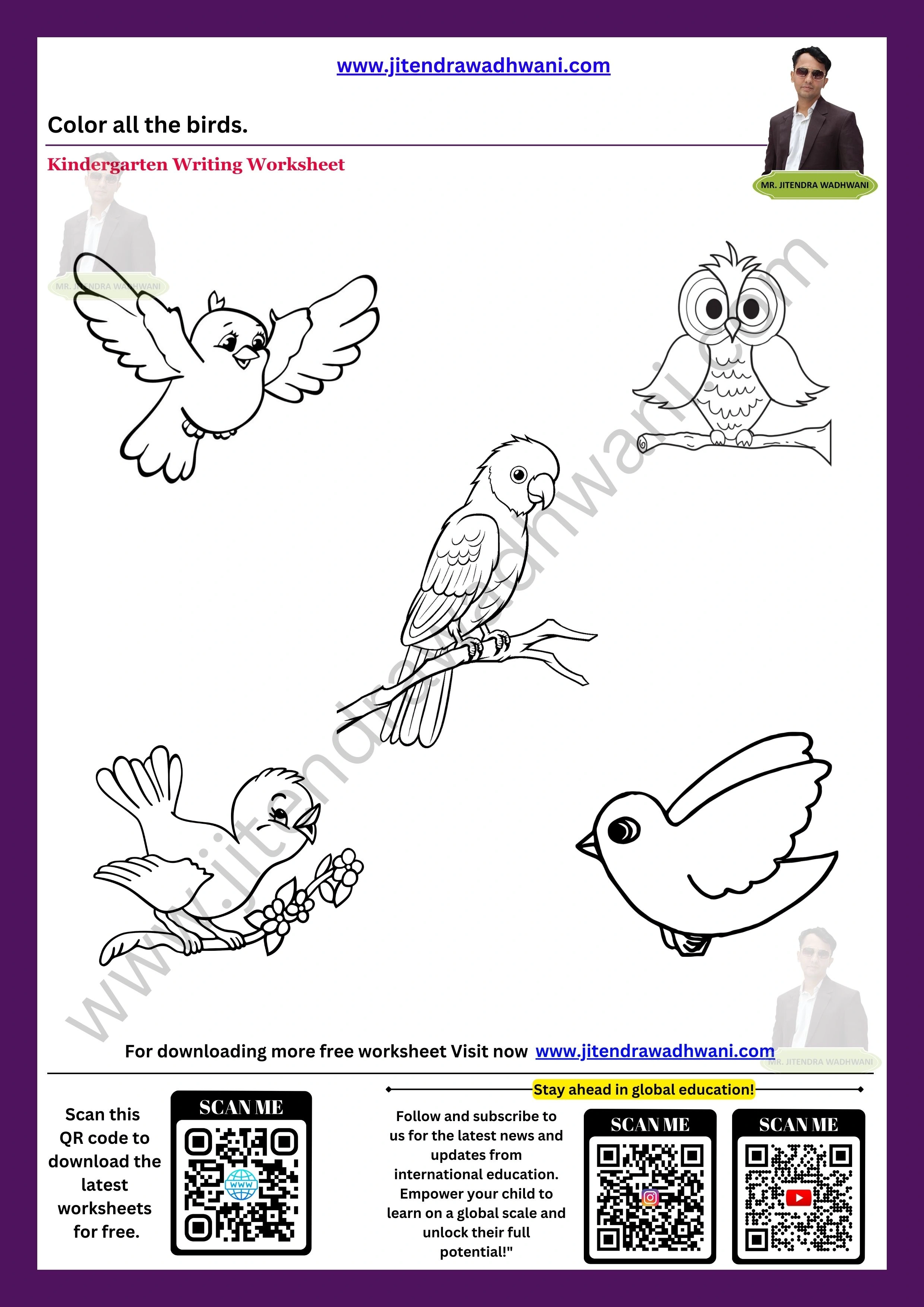 Birds Worksheet 3