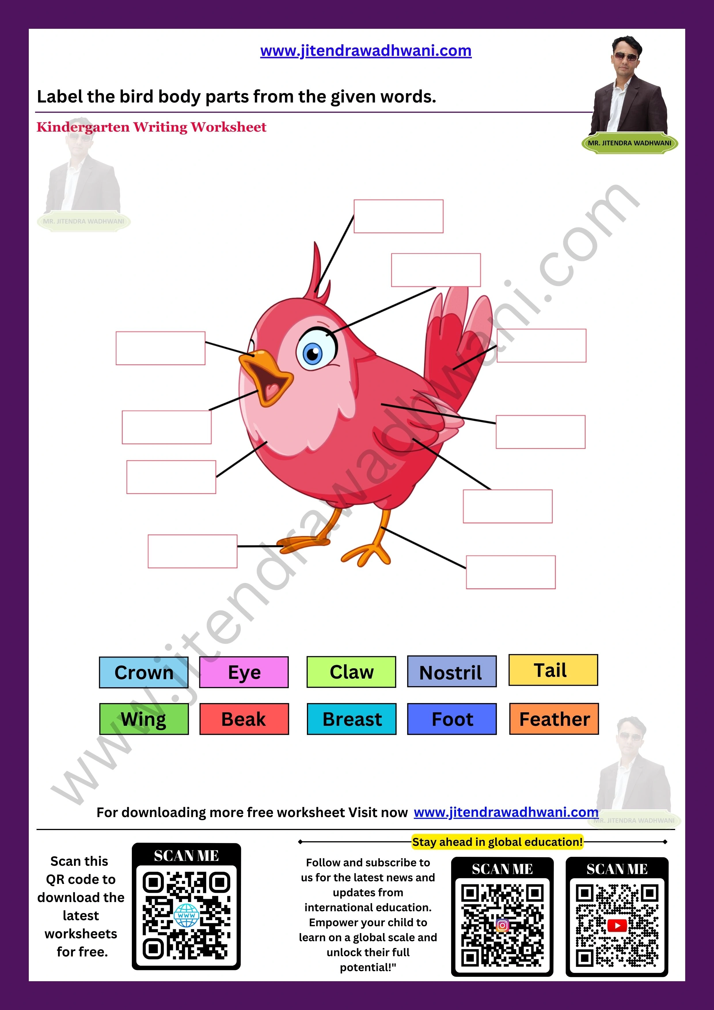 Birds Worksheet 5