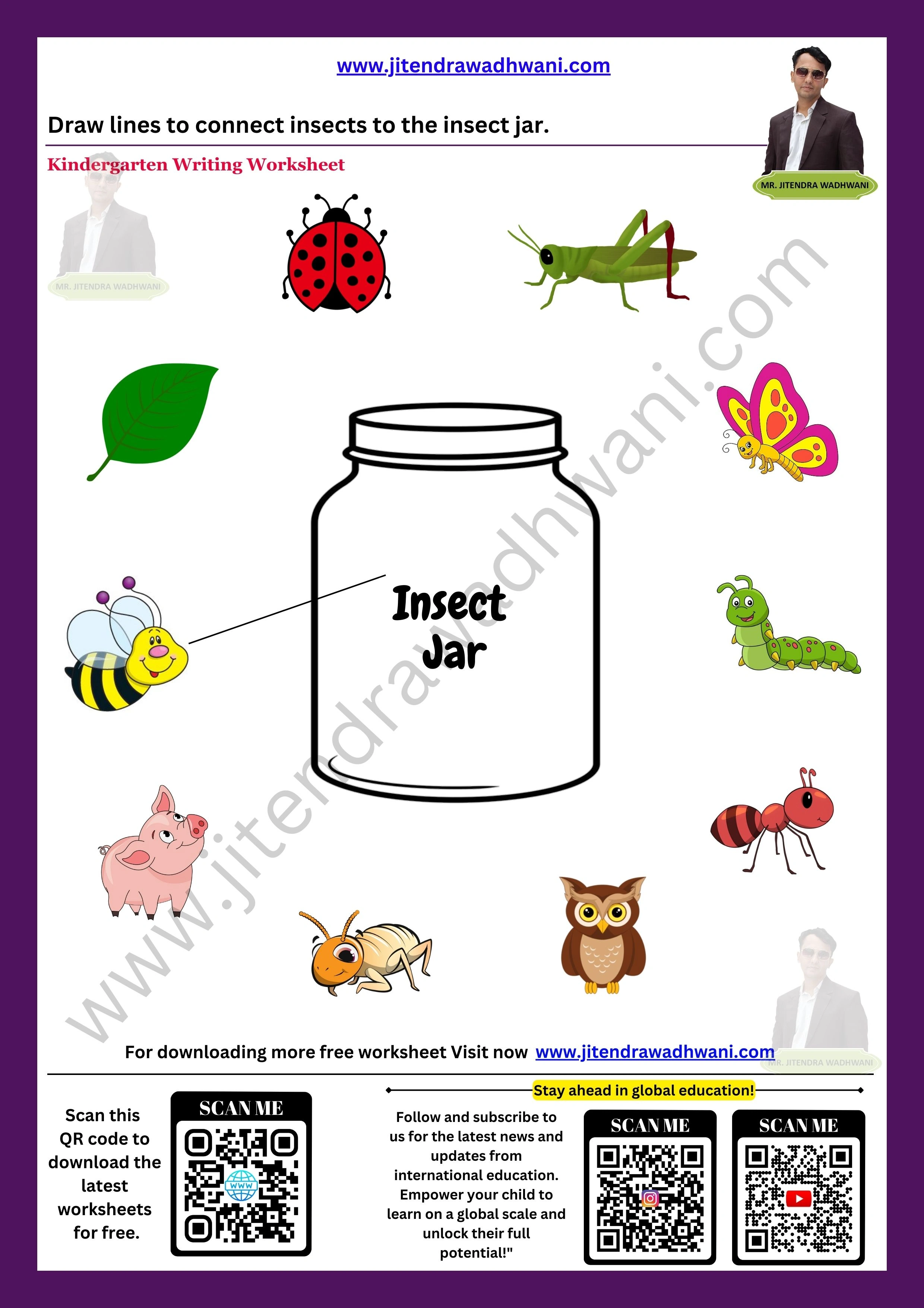 Insects Worksheet 1