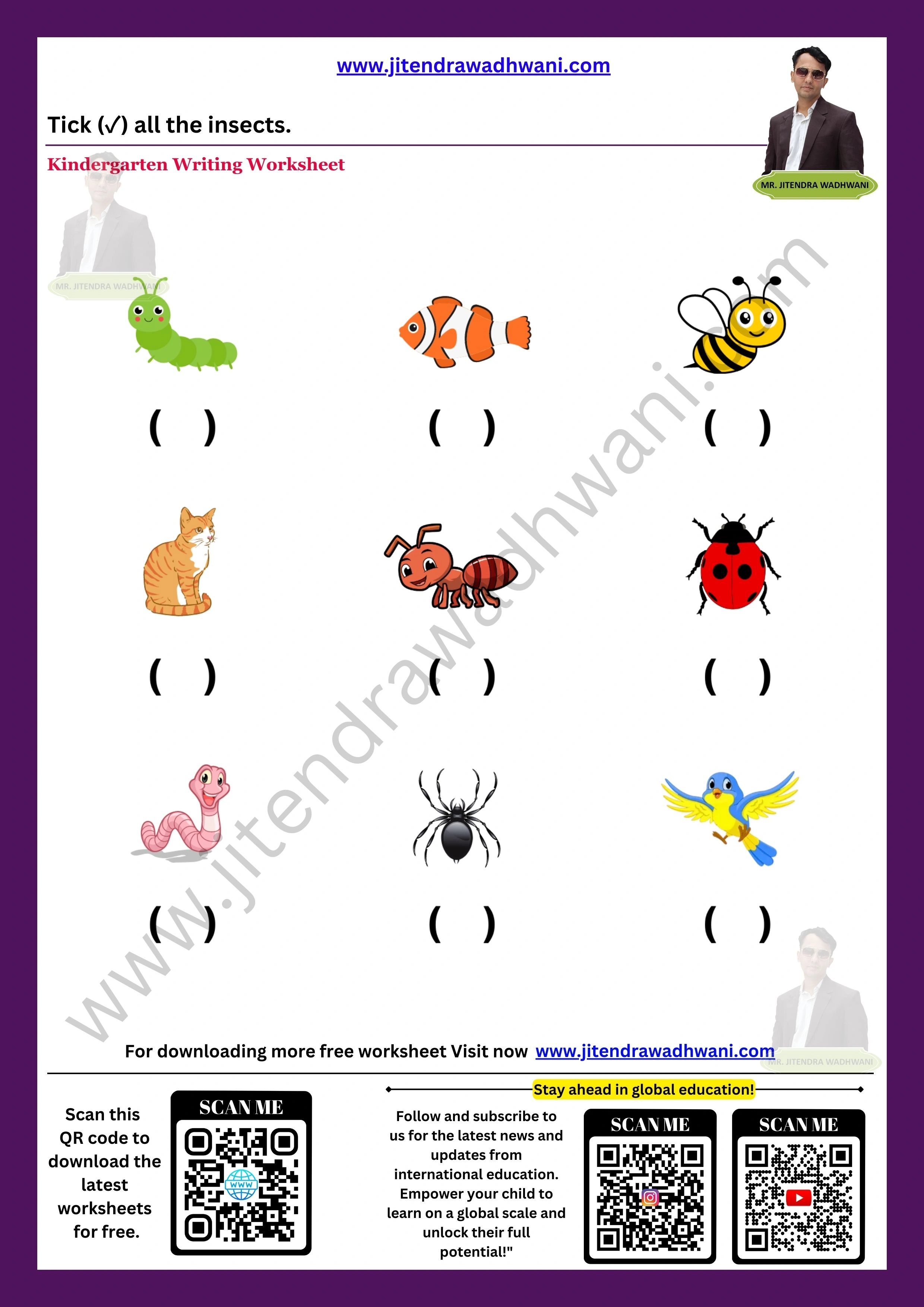 Insects Worksheet 2