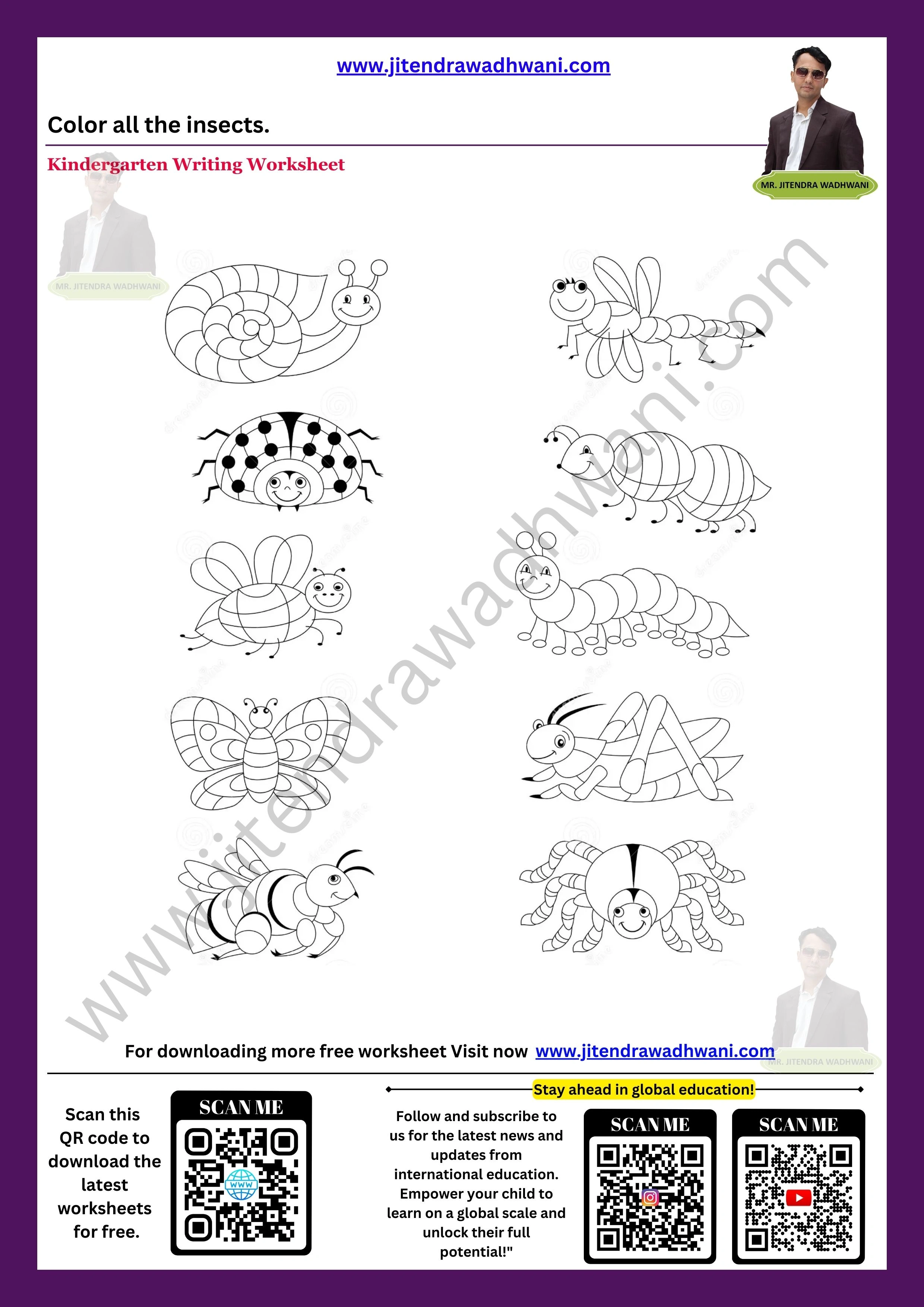 Insects Worksheet 3