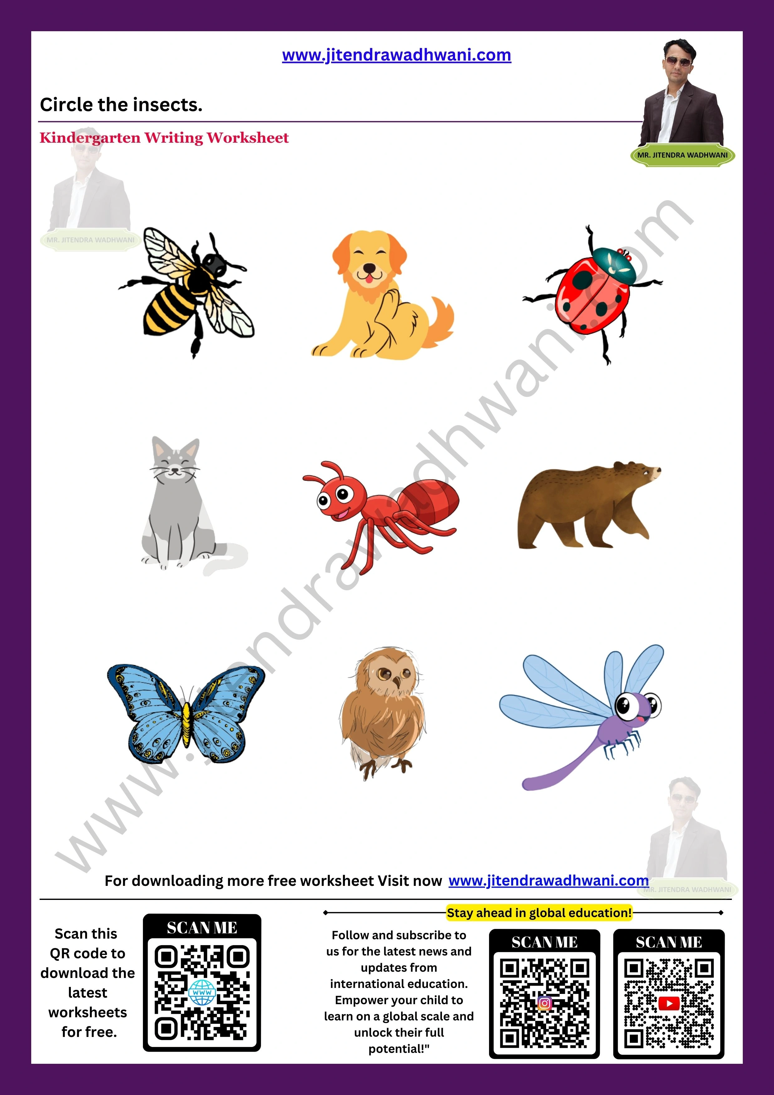 Insects Worksheet 4