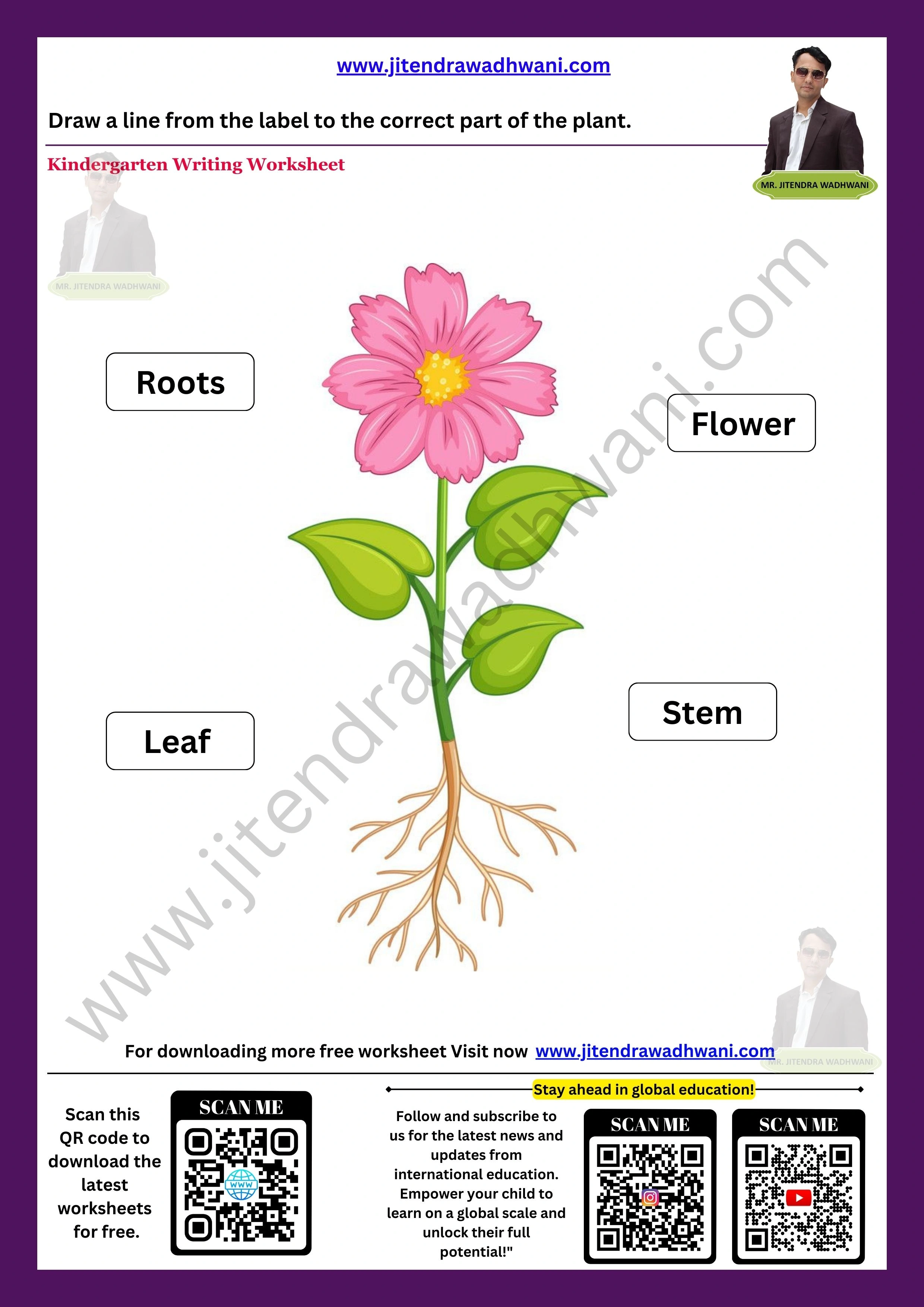 Parts Of the Plant Worksheet 2