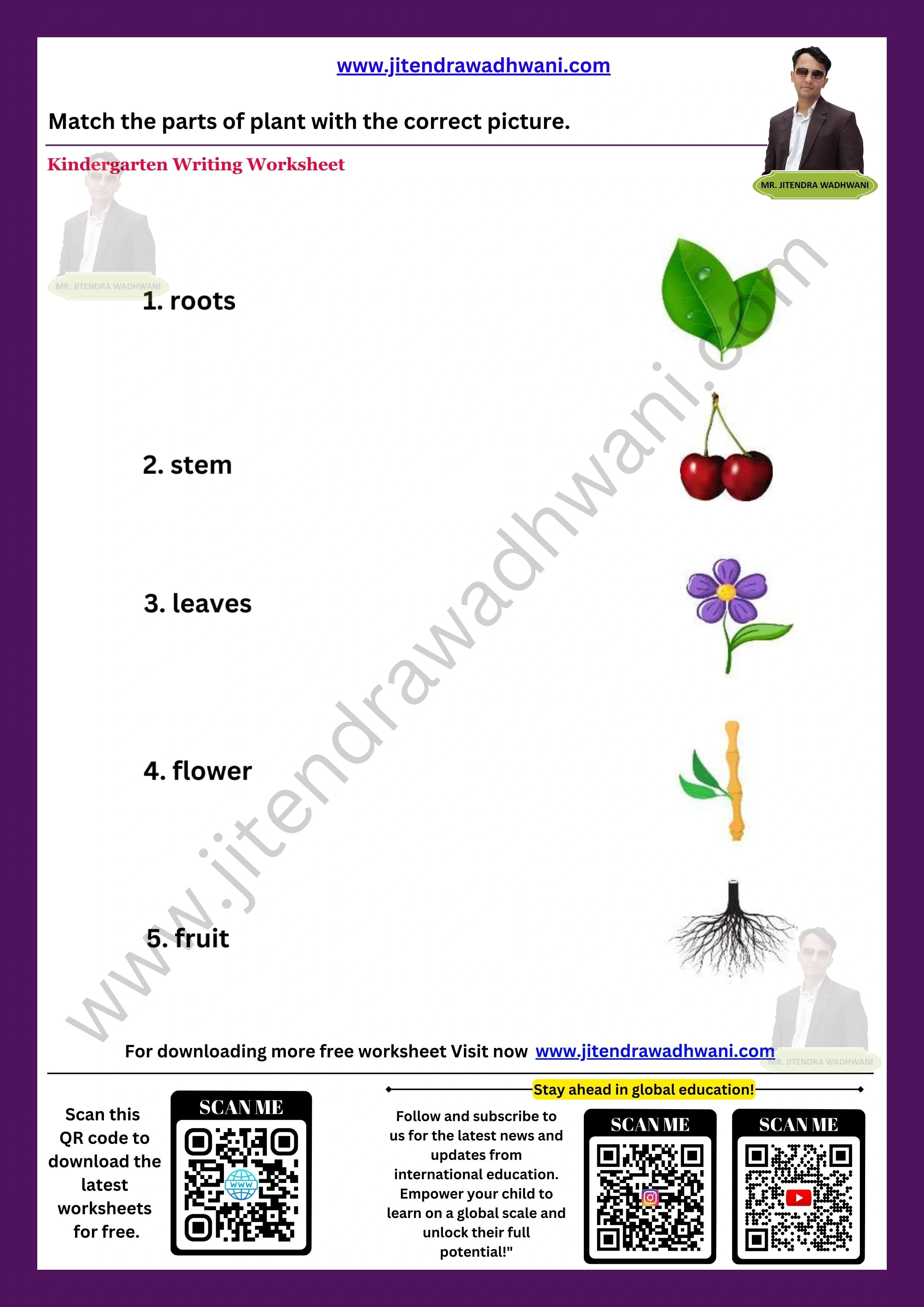 Parts Of the Plant Worksheet 4