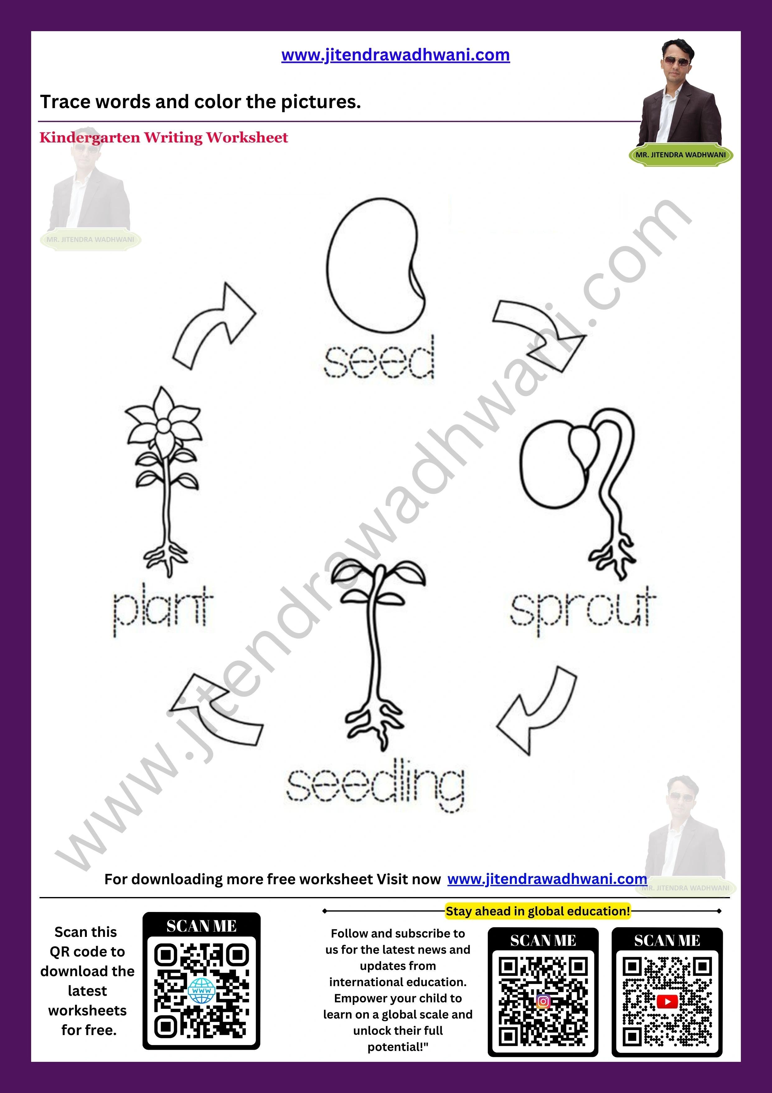 Parts of a Plant Worksheet 2