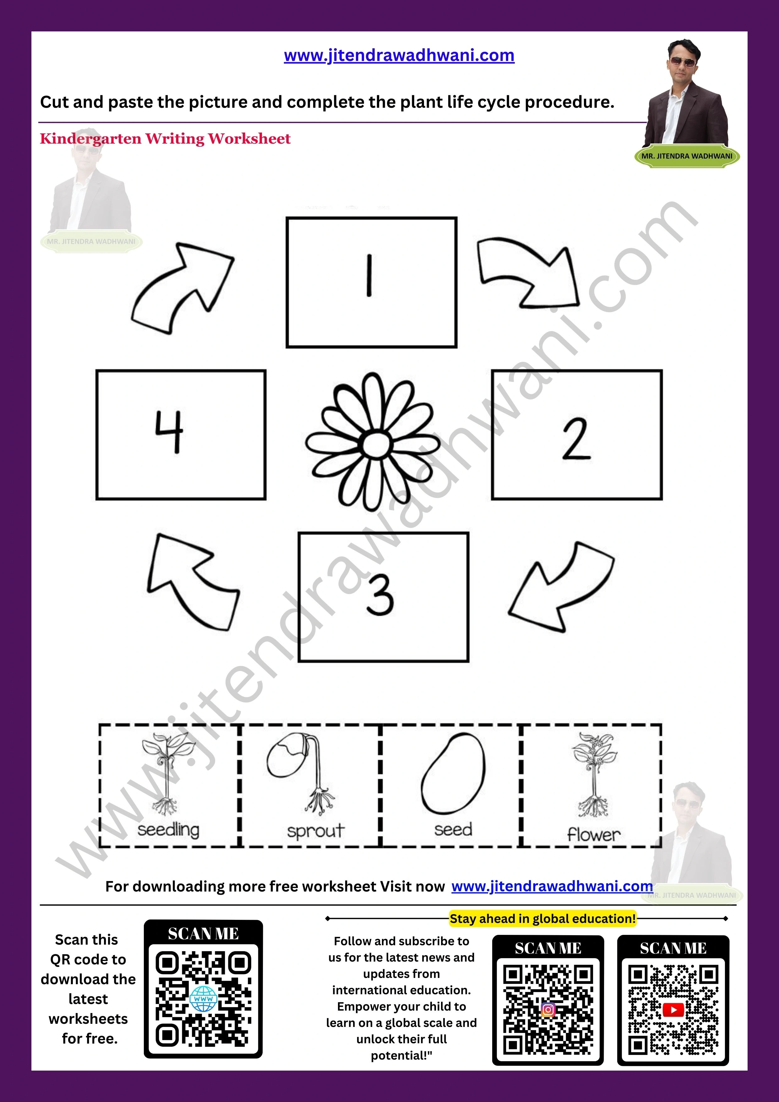 Plant life Cycle Worksheet 2