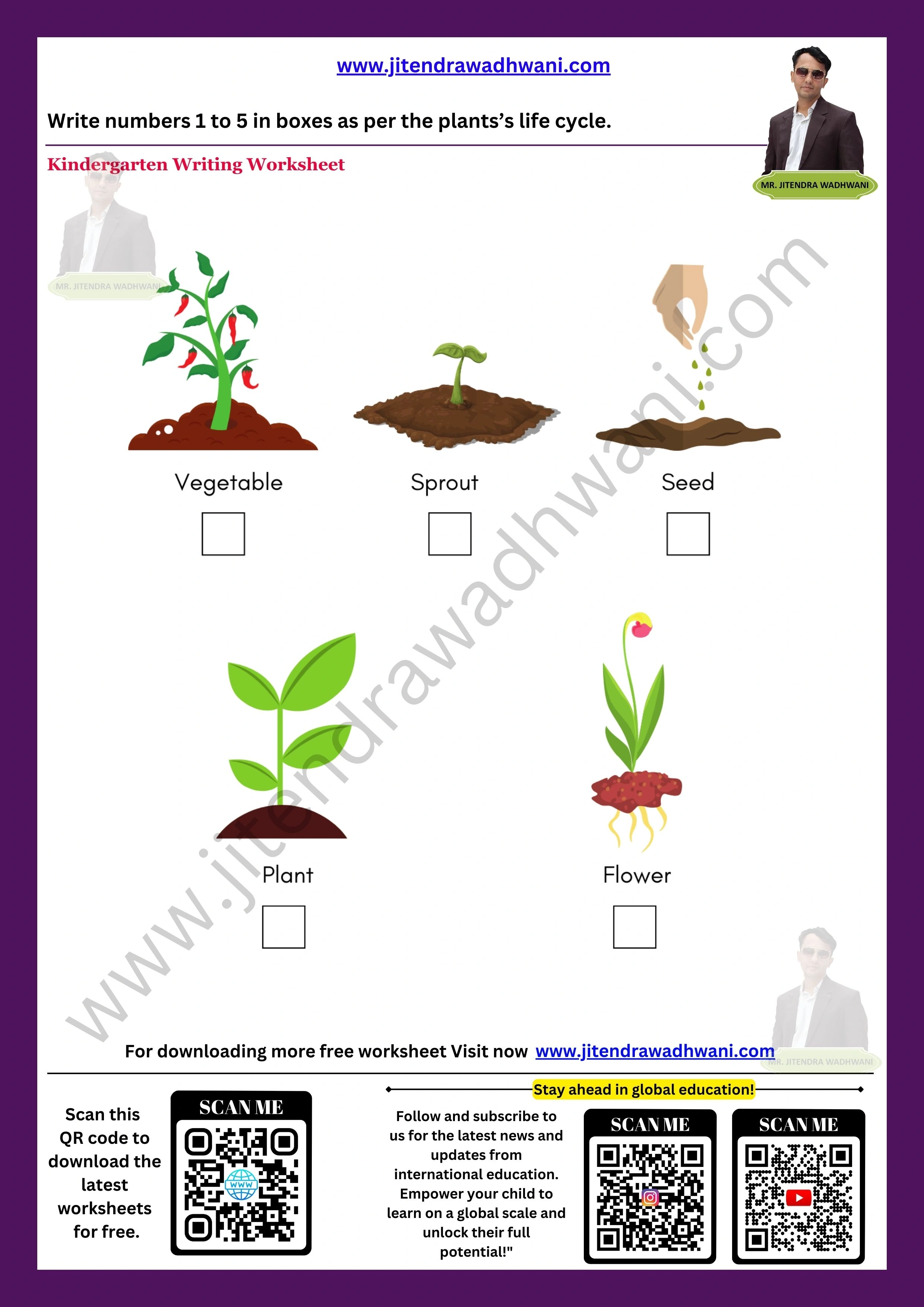 Plant life cycle worksheet 3