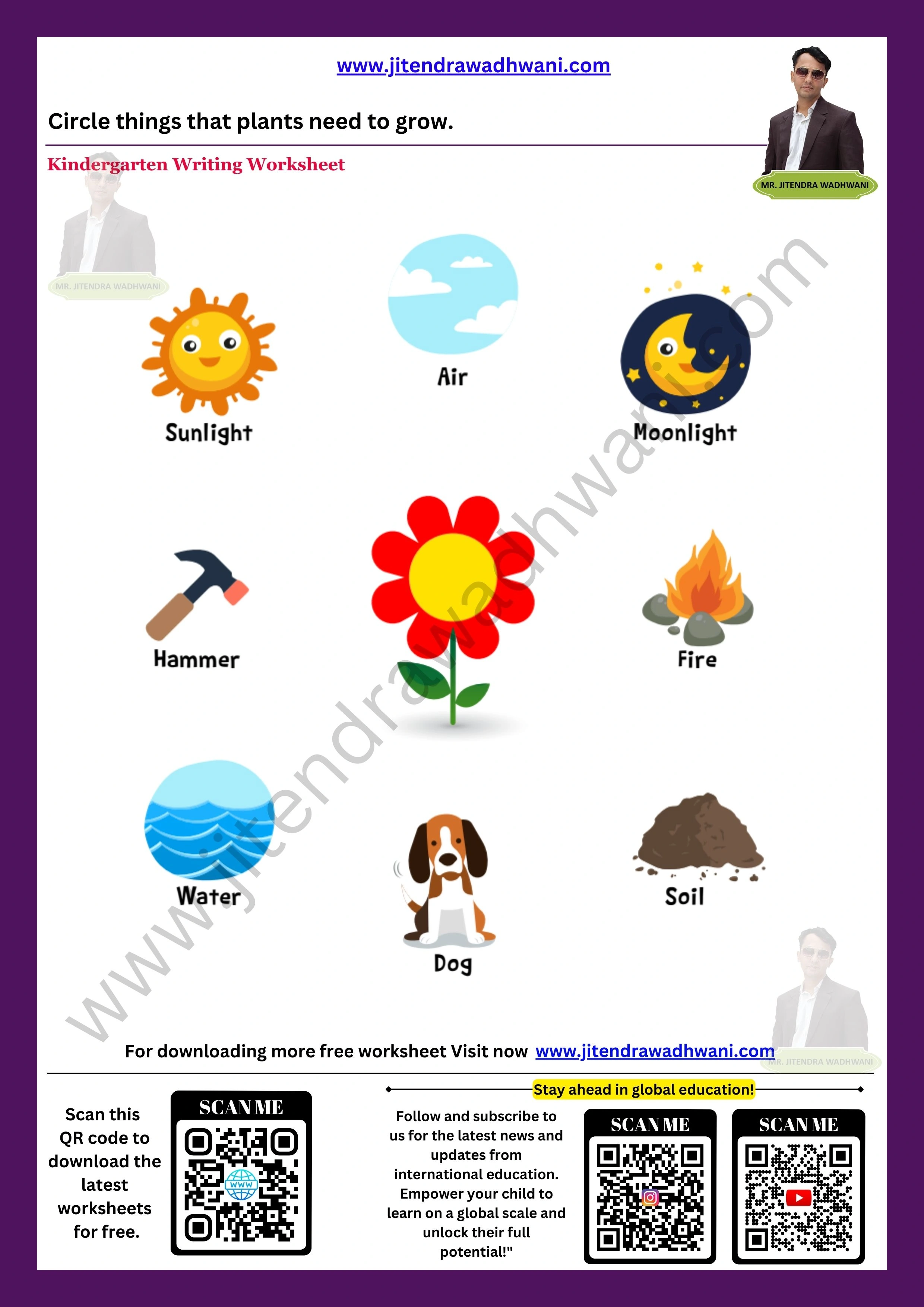 Things Need to Grow Plants Worksheet